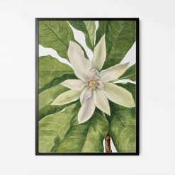 Flower Green Plant Canvas Wall Art - Image 3