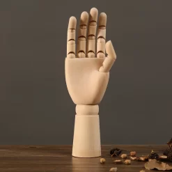 Wooden Human Body Model Ornament - Image 5