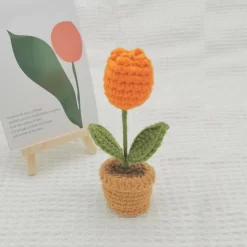 Handmade Woven Mini Potted - Image 4