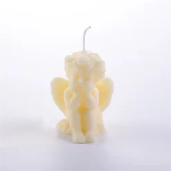 Natural Plant Scented Plum Fragrant Fruits Candles - Image 6