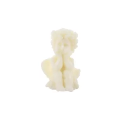 Natural Plant Scented Plum Fragrant Fruits Candles - Image 2