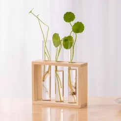 Hydroponic Plants Container with Wood Frame - Image 3