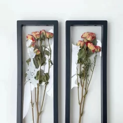 Transparent Flower Plant Display Frame - Image 4
