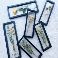 Transparent Flower Plant Display Frame - Image 6
