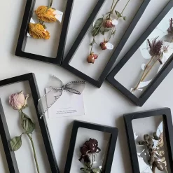 Transparent Flower Plant Display Frame - Image 3