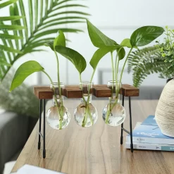 Transparent Glass Flower Vase Wooden Frame - Image 6