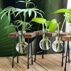 Transparent Glass Flower Vase Wooden Frame - Image 3