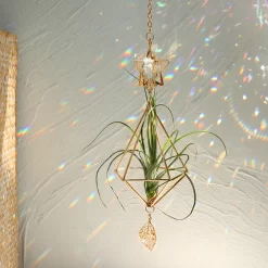 Gold Hanging Air Plant Holder - Image 2