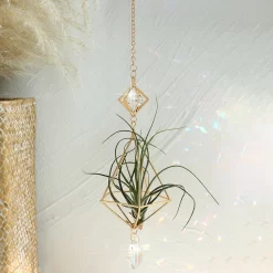 Gold Hanging Air Plant Holder - Image 6